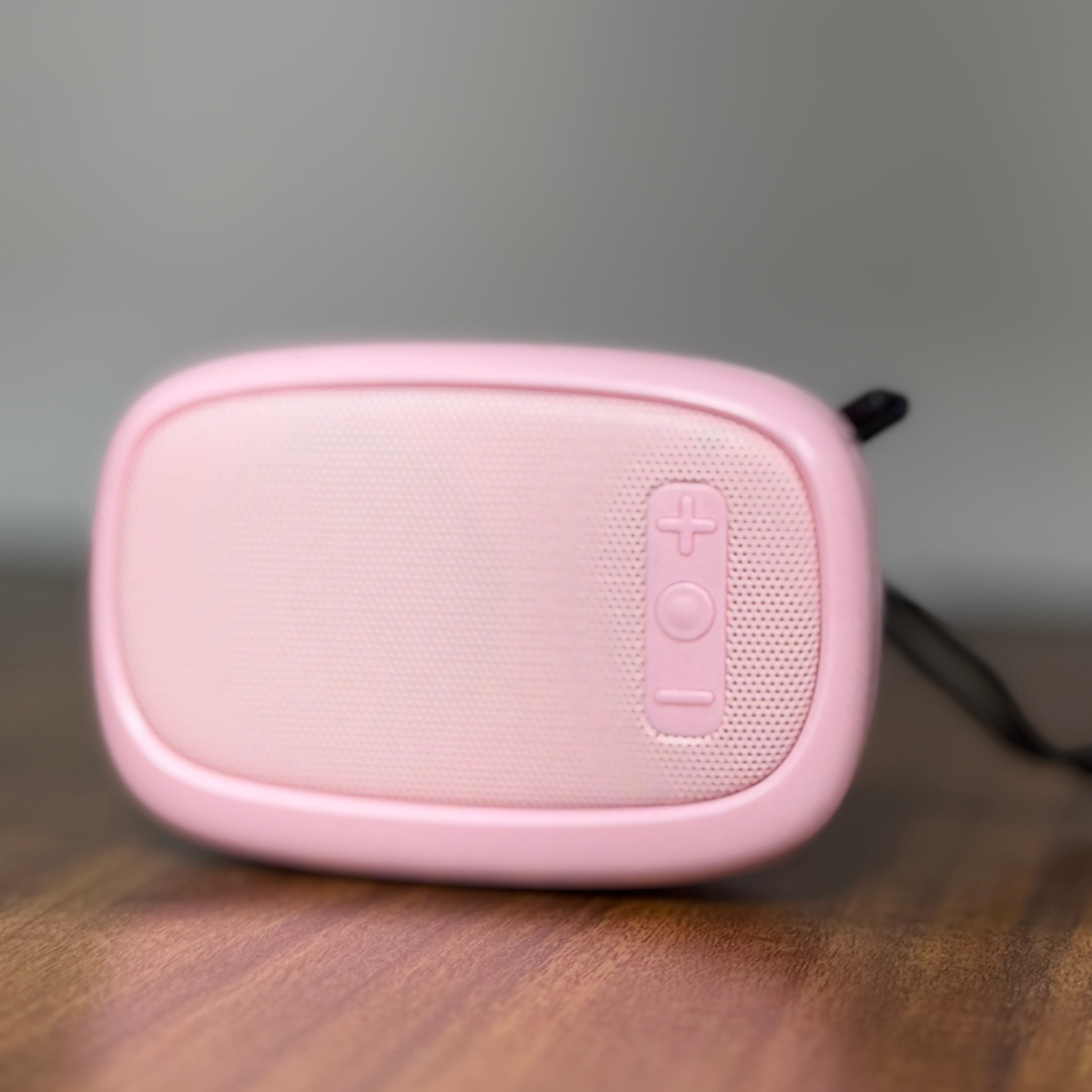 RADIO PORTABLE 2218 - LEOTEC